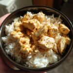 instant pot chicken and rice